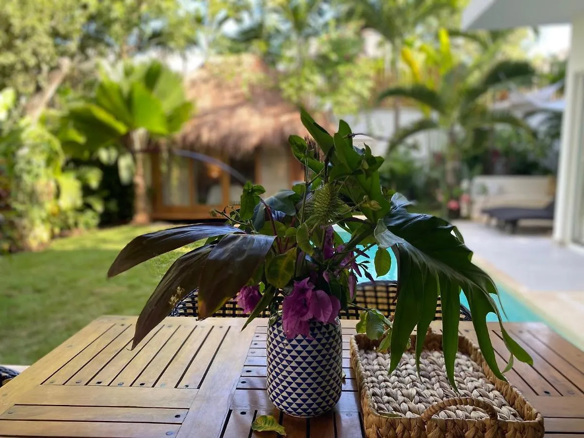 Luxury Private Villas , Private Pool, Private Garden, Jacuzzi, 24Hours Security Tulum Mexico