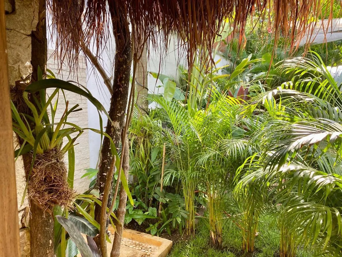 Luxury Private Villas , Private Pool, Private Garden, Jacuzzi, 24Hours Security Tulum