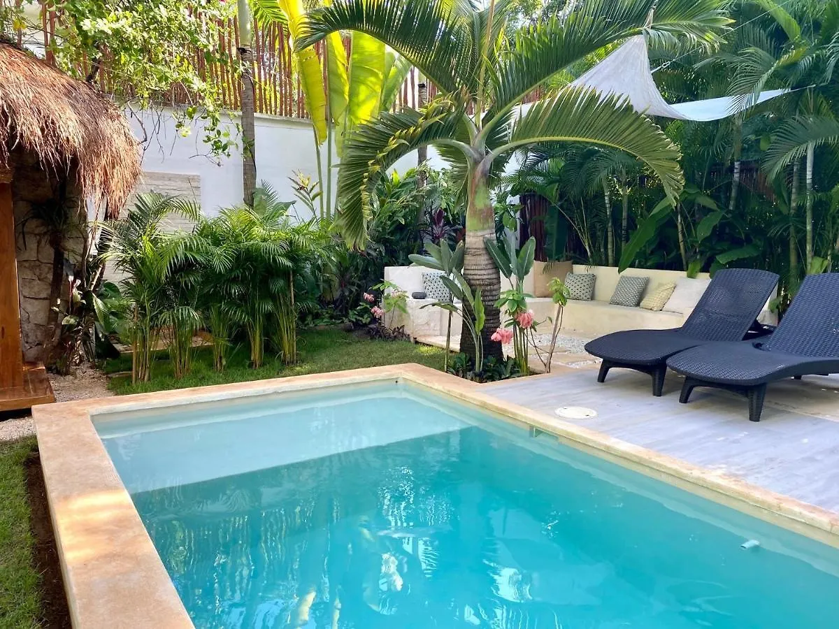 Luxury Private Villas , Private Pool, Private Garden, Jacuzzi, 24Hours Security Tulum