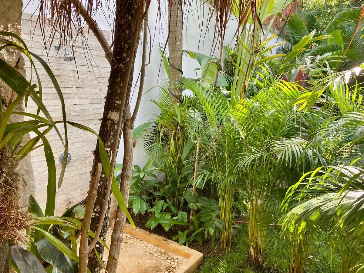 Luxury Private Villas , Private Pool, Private Garden, Jacuzzi, 24Hours Security Tulum 0*,