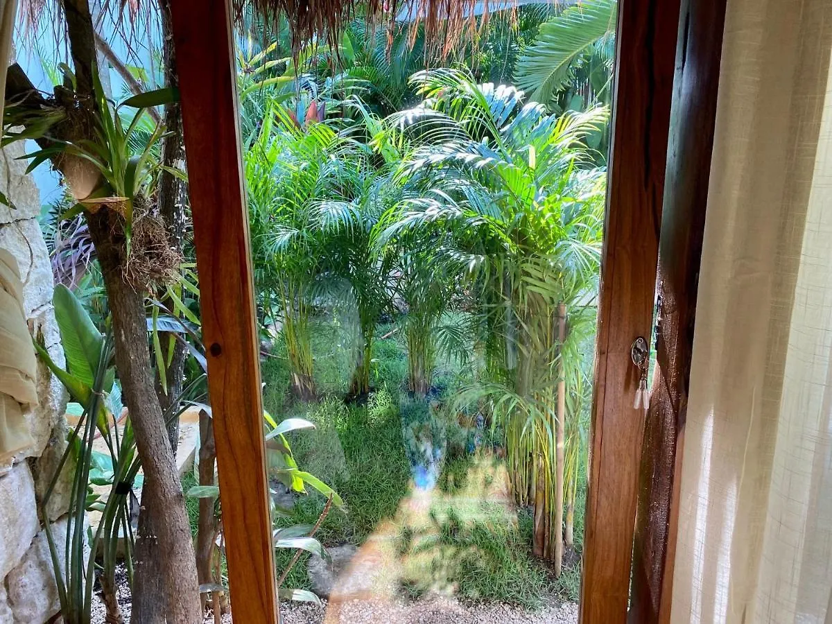 Luxury Private Villas , Private Pool, Private Garden, Jacuzzi, 24Hours Security Tulum Mexico