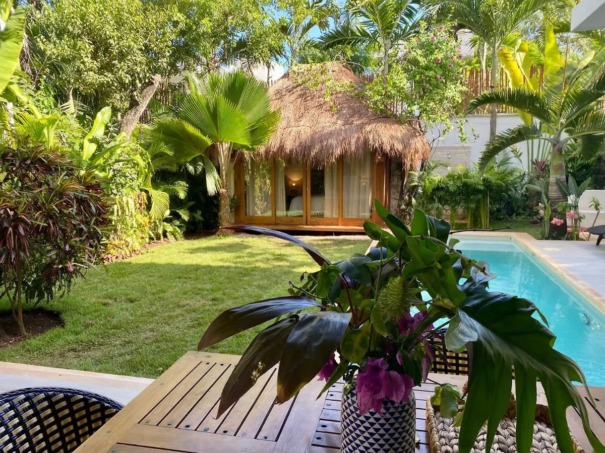 Luxury Private Villas , Private Pool, Private Garden, Jacuzzi, 24Hours Security Tulum 0*,  Mexico