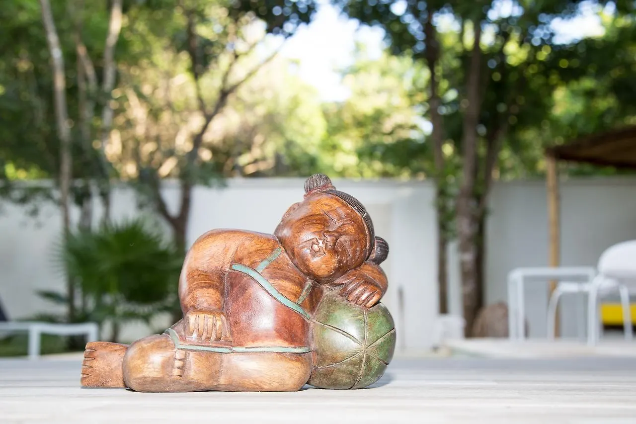 Luxury Private Villas , Private Pool, Private Garden, Jacuzzi, 24Hours Security Tulum